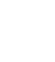 Alternate Text
